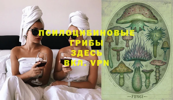 твердый Белокуриха