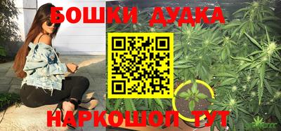 ECSTASY Лесосибирск