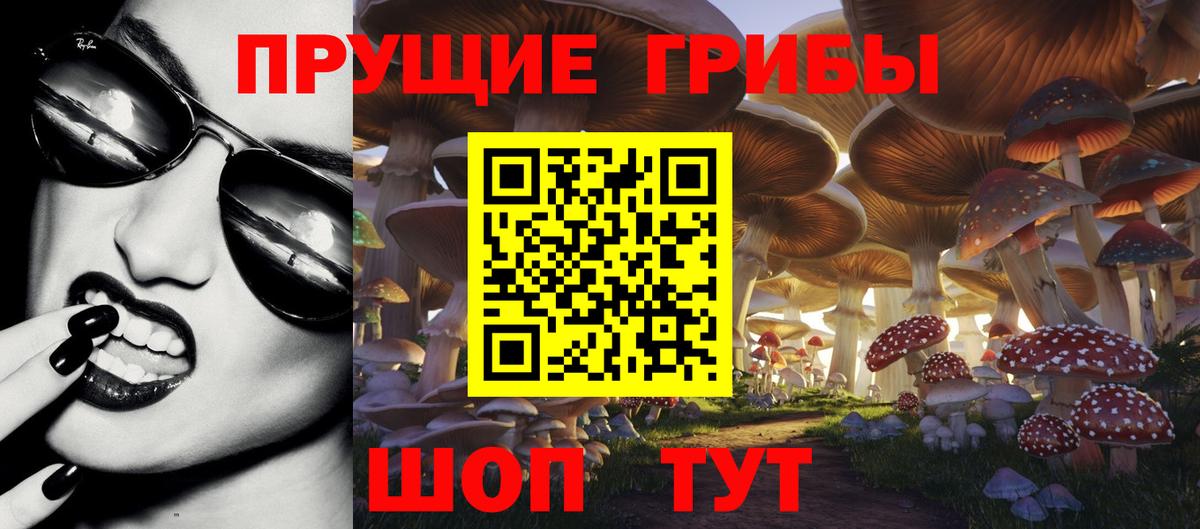 Псилоцибиновые грибы Psilocybe Горячий Ключ