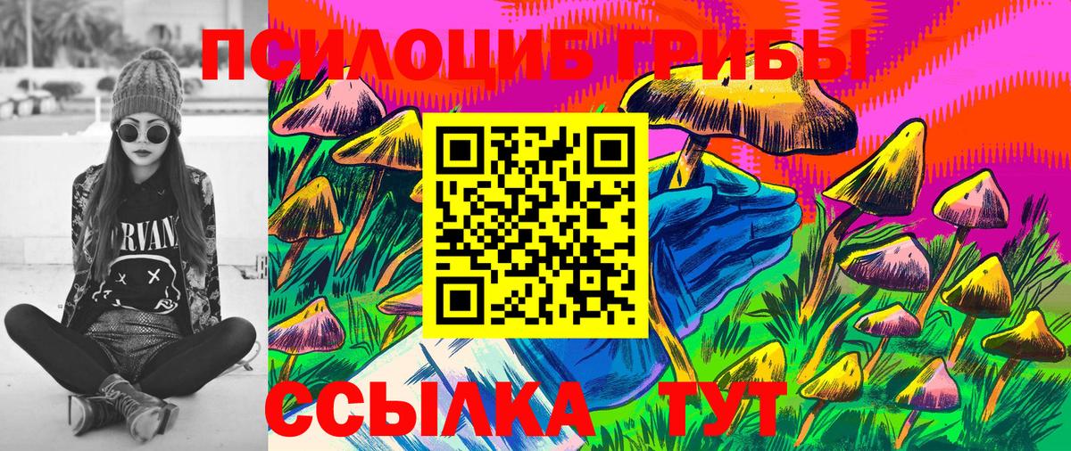 Горячий Ключ  Псилоцибиновые грибы Psilocybe  Галлюциногенные грибы прущие грибы  Вход с VPN 